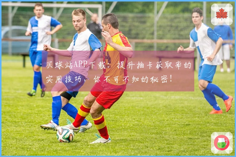 买球站APP下载：提升抽卡获取率的实用技巧，你不可不知的秘密！