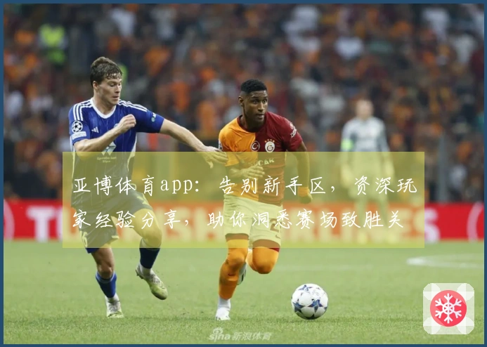 亚博体育app：告别新手区，资深玩家经验分享，助你洞悉赛场致胜关键
