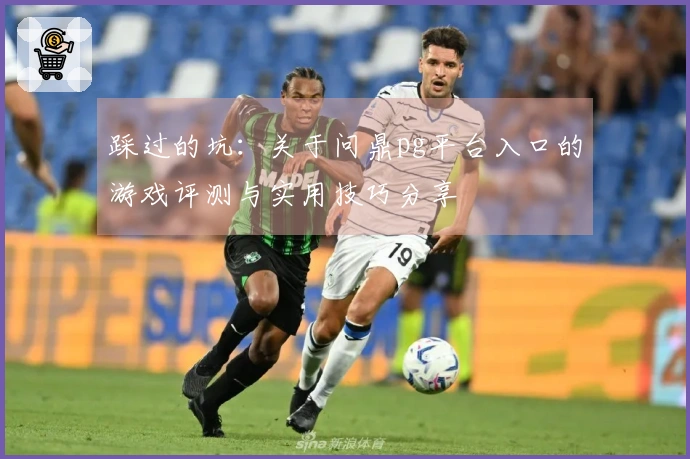 踩过的坑：关于问鼎pg平台入口的游戏评测与实用技巧分享