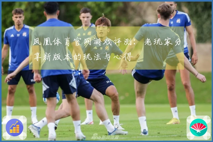 凤凰体育官网游戏评测：老玩家分享新版本的玩法与心得