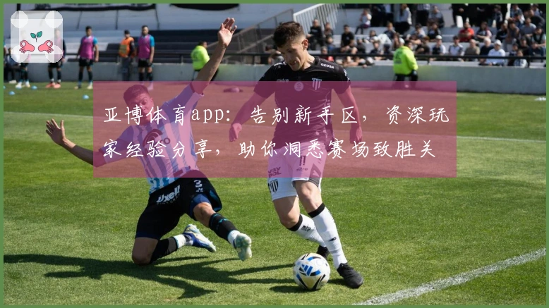 亚博体育app：告别新手区，资深玩家经验分享，助你洞悉赛场致胜关键